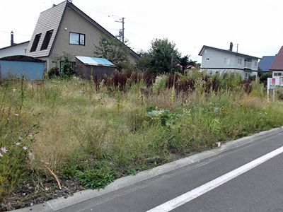 美瑛町東町
